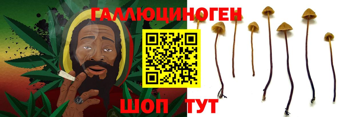 Саки  Галлюциногенные грибы ЛСД  Вход с VPN 